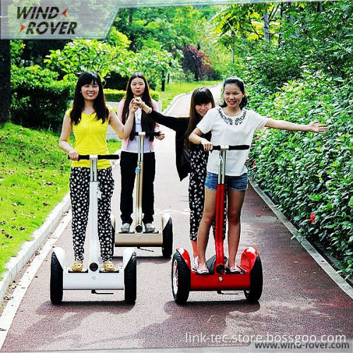 Balance Bike V4 Self Balance Scooter with Remote Control Wind Rover